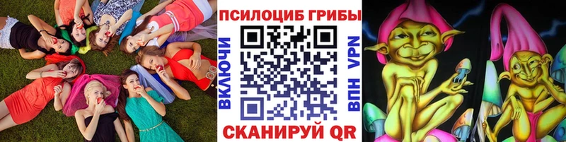 Купить  Тайшет  Псилоцибиновые грибы Psilocybe 